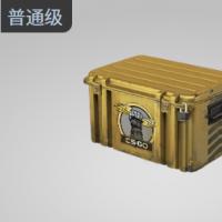 【平台担保 steam平台-CS2装备皮肤交易】手套武器箱【自动发货 0秒入库】