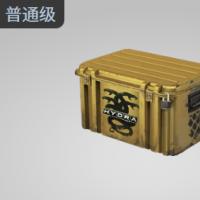 【平台担保 steam平台-CS2装备皮肤交易】“九头蛇大行动”武器箱【自动发货 0秒入库】
