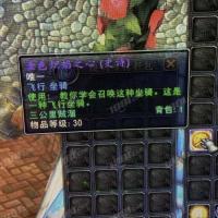 【平台担保 端游-（国服）魔兽世界正式服-坐骑-十区-海克泰尔】【联盟】金凤凰【自动发货 0秒入库】