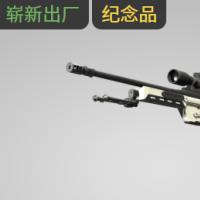 【平台担保 steam平台-CS2装备皮肤交易】SSG 08（纪念品） | 迂回路线 (崭新出厂)【自动发货 0秒入库】
