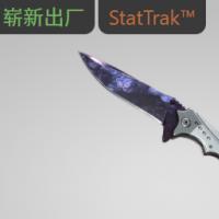 【平台担保 steam平台-CS2装备皮肤交易】流浪者匕首（★ StatTrak™） | 多普勒 (崭新出厂)【自动发货 0秒入库】