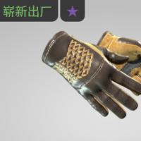 【平台担保 steam平台-CS2装备皮肤交易】驾驶手套（★） | 超越 (崭新出厂)【自动发货 0秒入库】