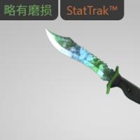 【平台担保 steam平台-CS2装备皮肤交易】鲍伊猎刀（★ StatTrak™） | 伽玛多普勒 (略有磨损)【自动发货 0秒入库】