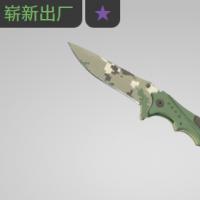 【平台担保 steam平台-CS2装备皮肤交易】流浪者匕首（★） | 森林 DDPAT (崭新出厂)【自动发货 0秒入库】