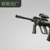 【平台担保 steam平台-CS2装备皮肤交易】AUG | 变色龙 (崭新出厂)【自动发货 0秒入库】