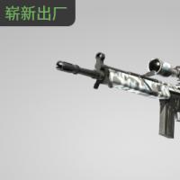 【平台担保 steam平台-CS2装备皮肤交易】G3SG1 | 极寒迷彩 (崭新出厂)【自动发货 0秒入库】