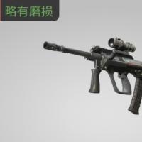 【平台担保 steam平台-CS2装备皮肤交易】AUG | 变色龙 (略有磨损)【自动发货 0秒入库】