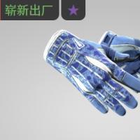 【平台担保 steam平台-CS2装备皮肤交易】运动手套（★） | 双栖 (崭新出厂)【自动发货 0秒入库】