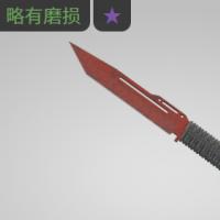 【平台担保 steam平台-CS2装备皮肤交易】系绳匕首（★） | 深红之网 (略有磨损)【自动发货 0秒入库】