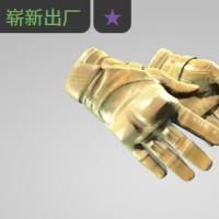 【平台担保 steam平台-CS2装备皮肤交易】摩托手套（★） | 交运 (崭新出厂)【自动发货 0秒入库】