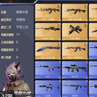 【游戏账号-CF-端游】【不可二次 英雄武器数量:17 英雄角色数量:2 王者武器数量:0 狐影 Barrett-毁灭音效卡 无影-神兵利器,屠龙-荣耀之锋 稀有武器:4个 爆破号】