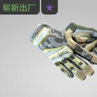 【平台担保 steam平台-CS2装备皮肤交易】专业手套（★） | 陆军少尉长官 (崭新出厂)【自动发货 0秒入库】