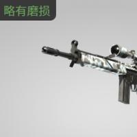 【平台担保 steam平台-CS2装备皮肤交易】G3SG1 | 极寒迷彩 (略有磨损)【自动发货 0秒入库】