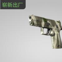 【平台担保 steam平台-CS2装备皮肤交易】P250 | 骸骨外罩 (崭新出厂)【自动发货 0秒入库】