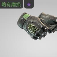 【平台担保 steam平台-CS2装备皮肤交易】九头蛇手套（★） | 翡翠色调 (略有磨损)【自动发货 0秒入库】