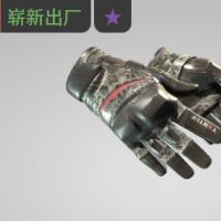 【平台担保 steam平台-CS2装备皮肤交易】摩托手套（★） | *嘣！* (崭新出厂)【自动发货 0秒入库】